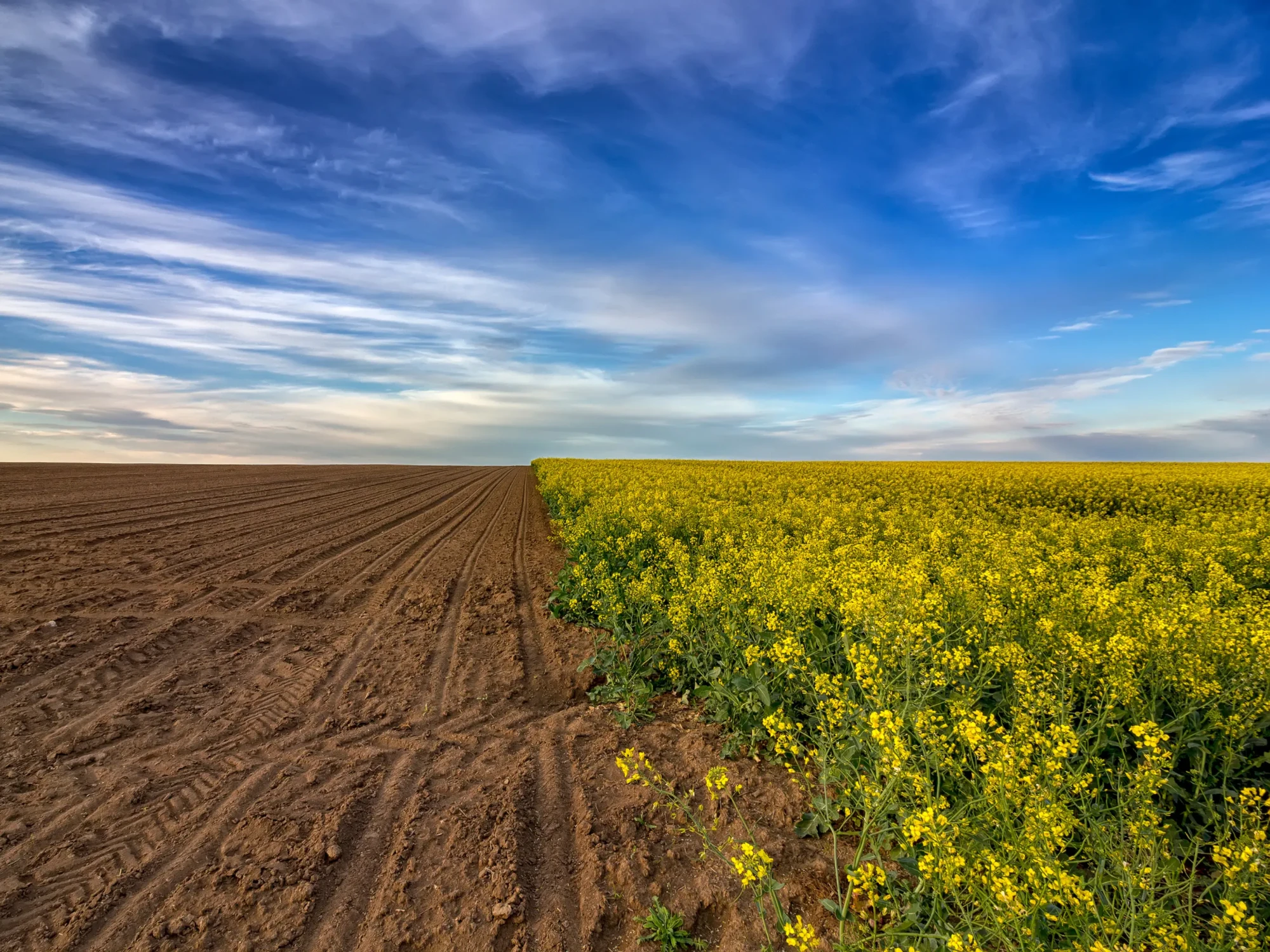 Peut-on conclure un bail rural verbalement ?