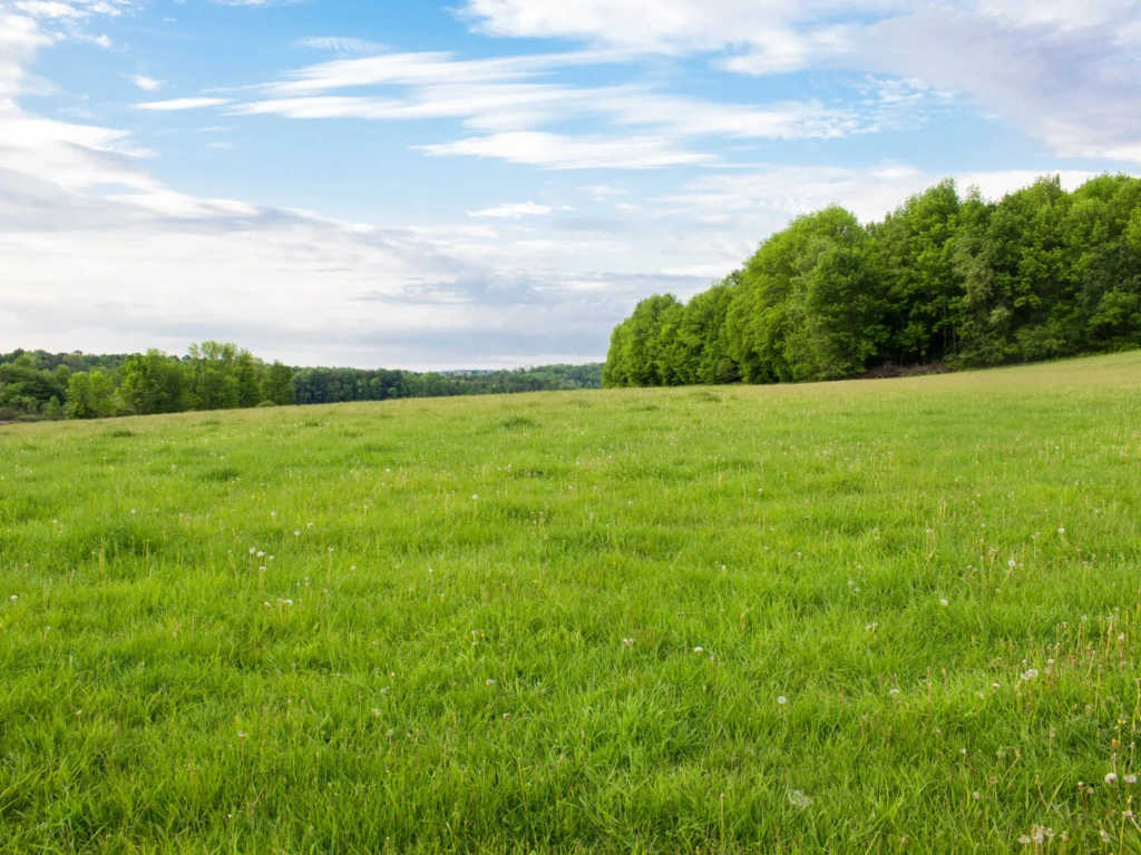 ​​Le droit de préemption de la SAFER : quels cas d’exonération