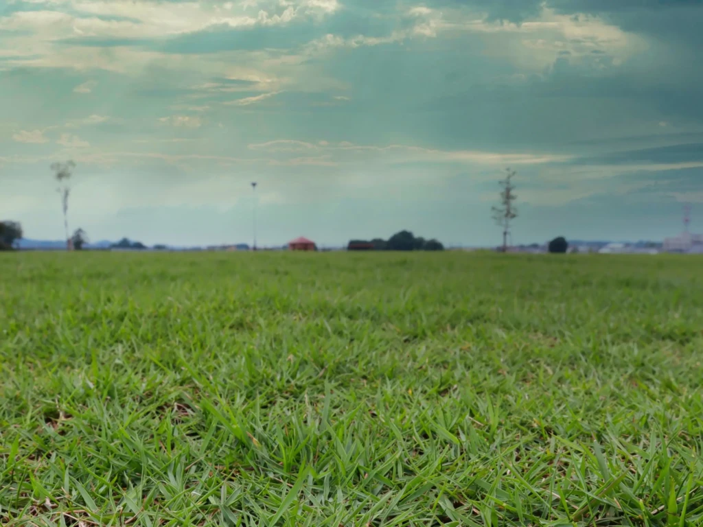 Urbanisme : quels documents sont requis pour vendre un terrain constructible